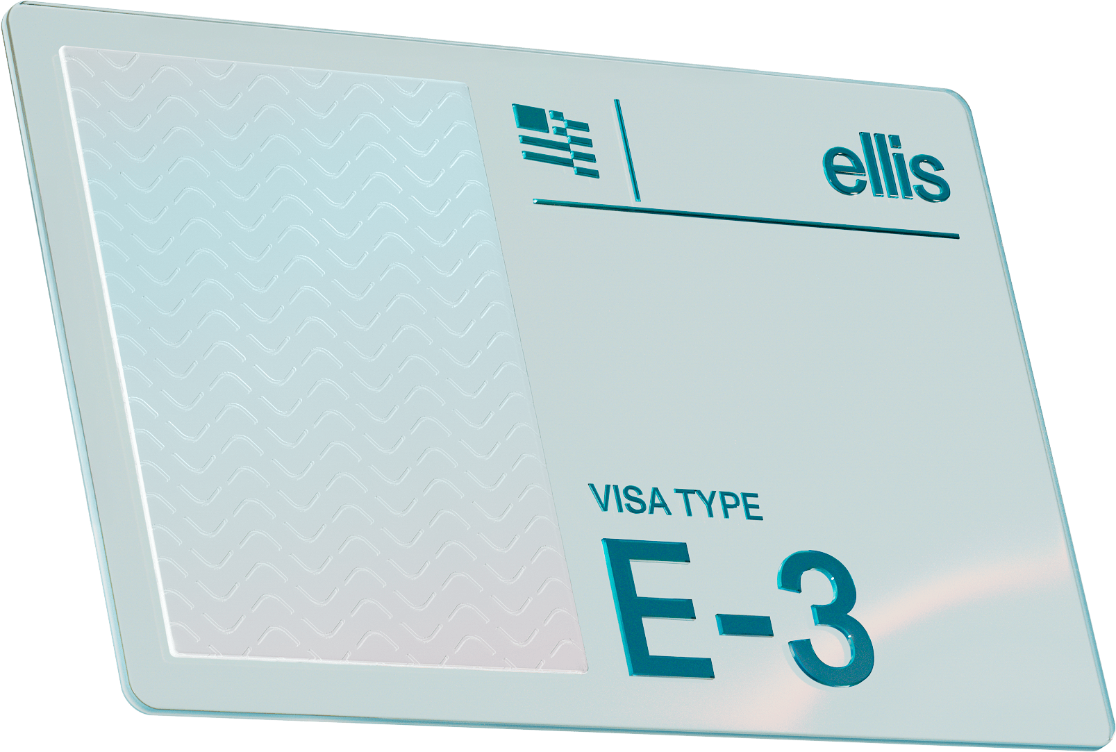 E-3 visa card
