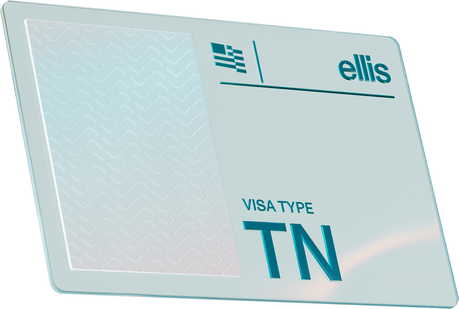 TN visa card