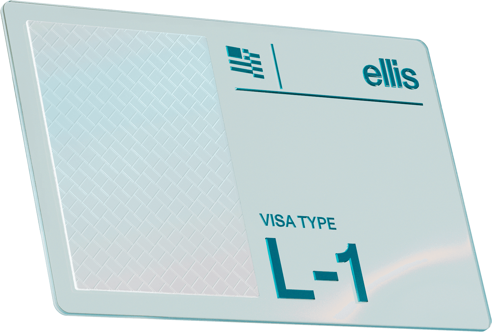 Visa Card Left